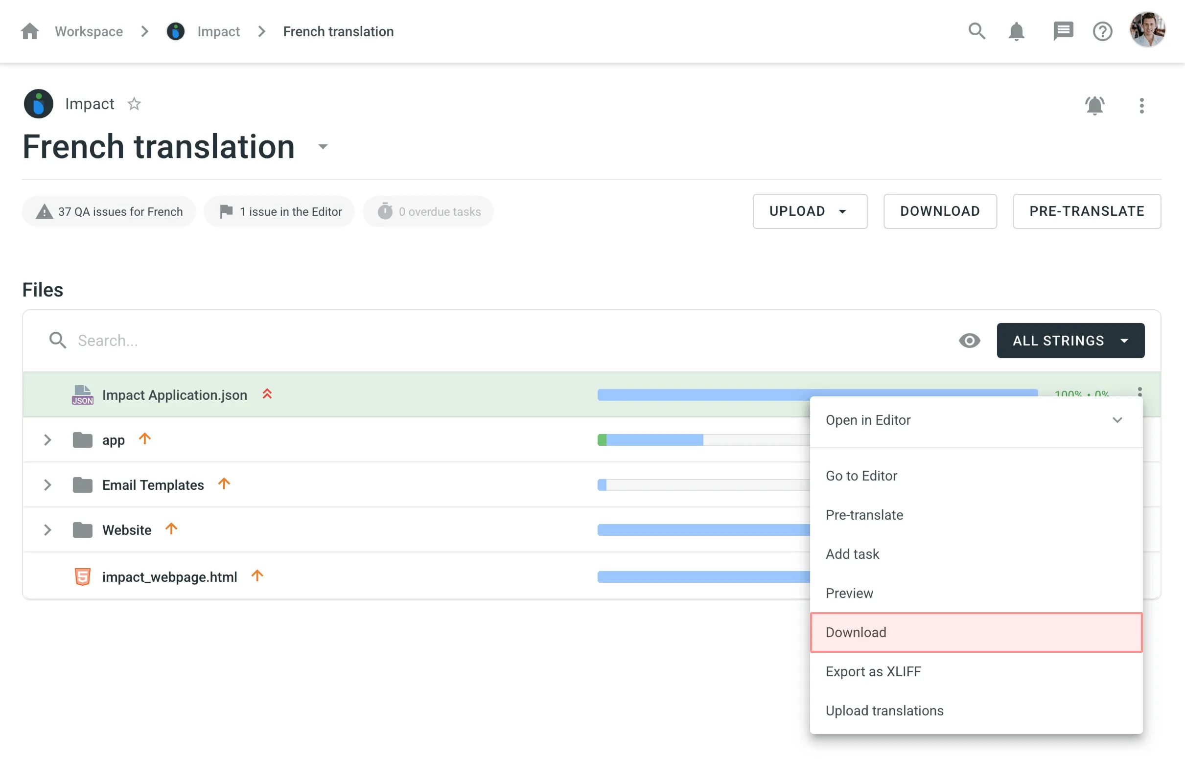 Download File on Language Page